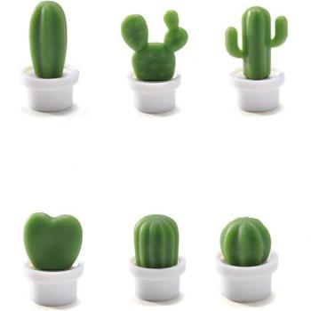 Bouton Cactus Magnétique