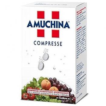 Amuchina Compresse 1g 24 Pezzi
