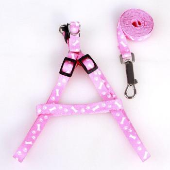 Harnais en nylon avec laisse assortie pour chiens