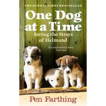 One Dog at a Time: Saving the Strays of Helmand,Pen Farthing