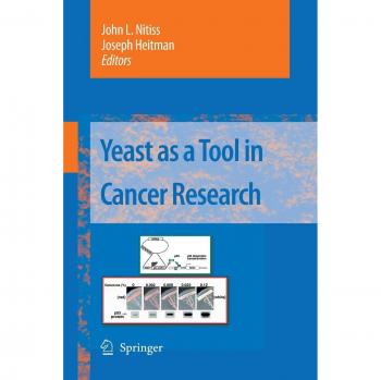 Yeast as a Tool in Cancer Research