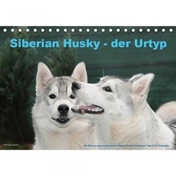 Siberian Husky