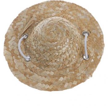 Pet Sombrero Hat