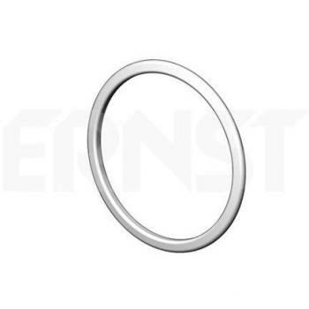Abgasrohr Dichtung ERNST 495844