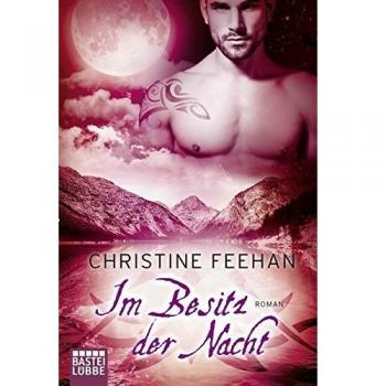 Im Besitz der Nacht: Roman