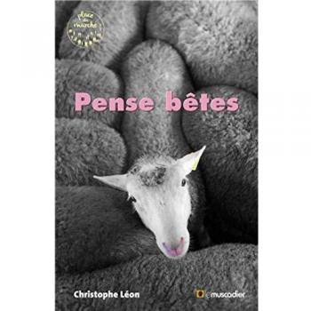 Penses bêtes
