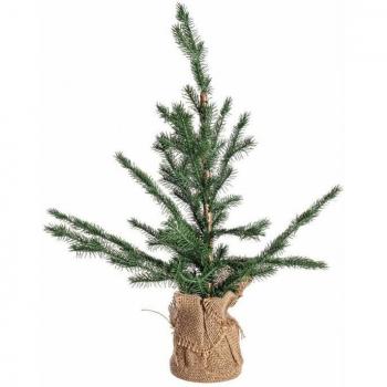 Lot de 6 Pino Nordend H60
