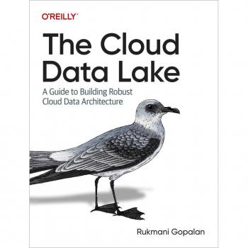 Vitalsource Technologies, Inc. The Cloud Data Lake