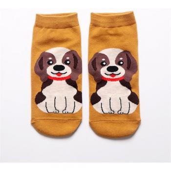 Chaussettes Été Amusantes