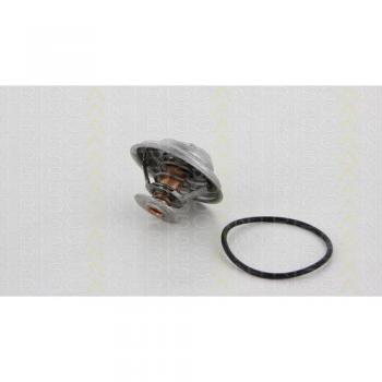Regolatore di Temperatura Motore TRISCAN 8620 6392