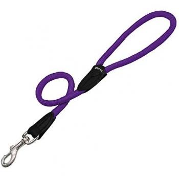 Ceinture Chien Gloria