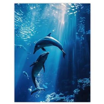 Seabreeze Dolphin Print 12x16 Blue