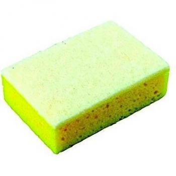 Protecton Insect Cleaning Sponge