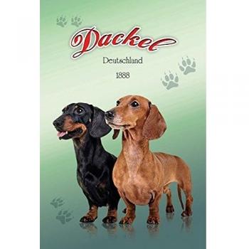 Dackel Deutschland 1888 Blechschild Wanddeko 20x30 cm