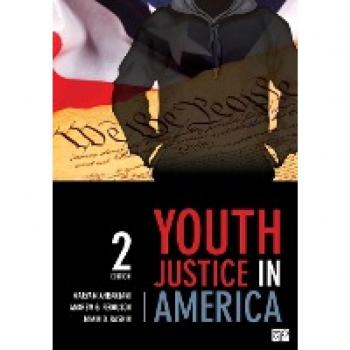 Youth Justice in America, by Maryam Ahranjani