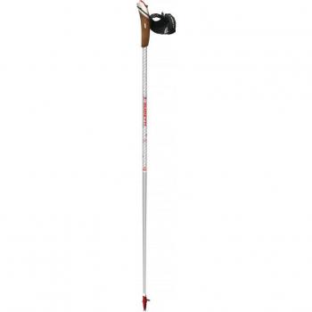 Nordic Walking Stöcke Titan Edition von Guidetti
