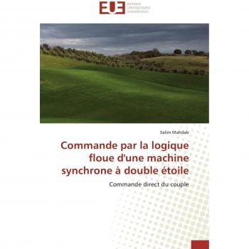 Commande par la logique floue d'une machine synchrone à double étoile: Commande direct du couple