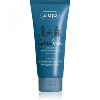 Ziaja Gdan Skin 100 ml