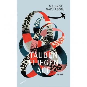 Tauben Fliegen Auf