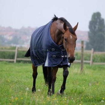 EQUITHEME 'TYREX 1680D' Stall