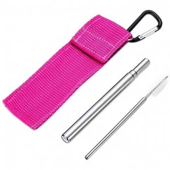 Cepillo de paja portátil de acero inoxidable con estuche