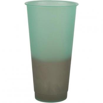 700ML Reusable Color Changing Drink Cup for Students