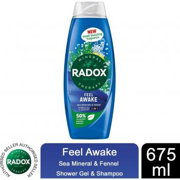 Radox 2-in-1 Body Wash & Shampoo for Men with Fennel & Sea Minerals 675ml