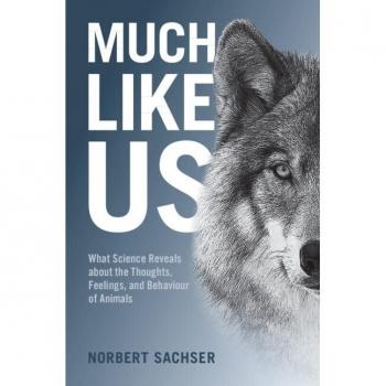 Much Like Us