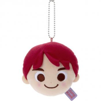 Jung Kook Plush Reflection