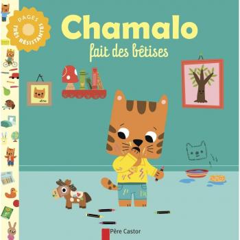 Chamalo fait des betises