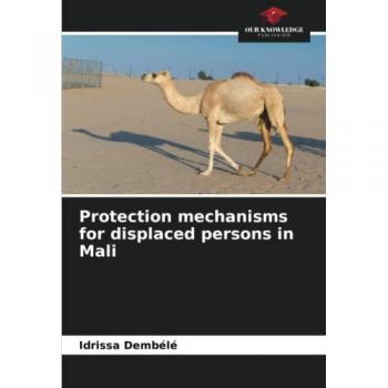 Protection mechanisms for displaced persons in Mali