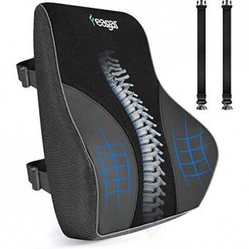 Feagar Coussin de Soutien Lombaire