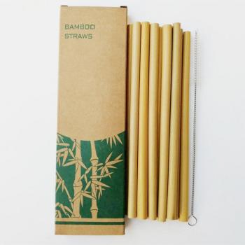Bamboo Drinking Straws with Brush