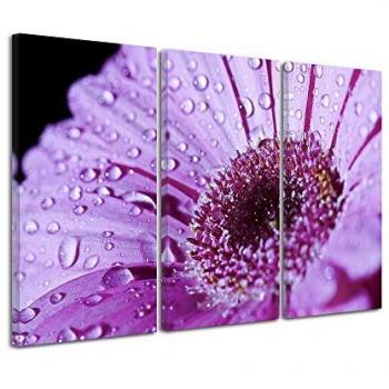 Décoration Murale Gerbera DECLINA 150x100
