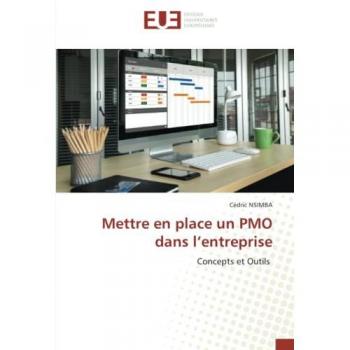 Mettre en place un PMO dans l’entreprise: Concepts et Outils: Concepts et Outils.DE