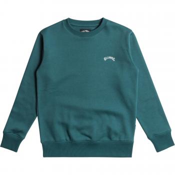 Sudadera Arch Billabong turquesa oscuro para niños