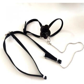 Outdoor Flying Parrot Leash