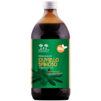 Salugea Succo Olivello Bio 500 ml