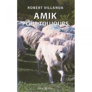 Amik pour toujours