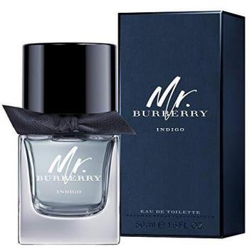 Mr. Burberry His Black