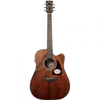 Ibanez AW54CE Artwood Open-Pore Natural
