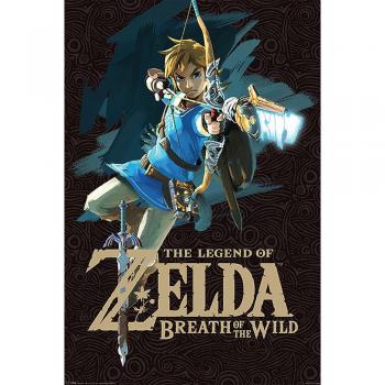 Close Up The Legend of Zelda Kunstdruck Breath of The Wild