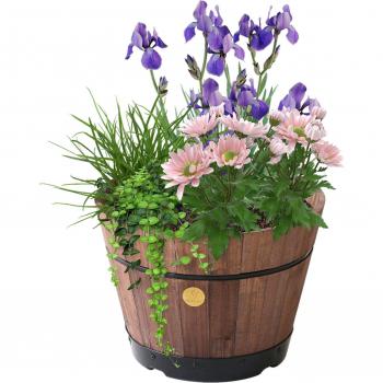 VegTrug Medium Build-a-Barrel Kit Dark Brown