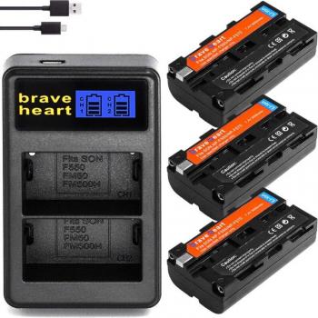 2 Stück NP-F550 NP-F570 Kamera Akkus 3000mAH + LCD USB Ladegerät für Sony NP-F330 NP-F530 NP-F570 NP-F730 NP-F750