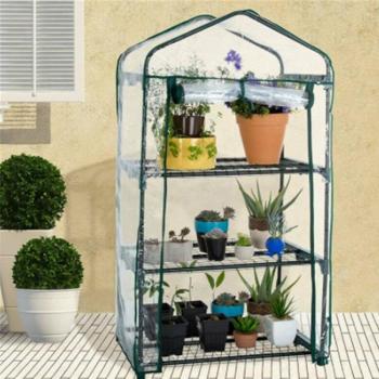 Mini Serre de Plantes 4 Types