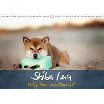 Shiba Inu