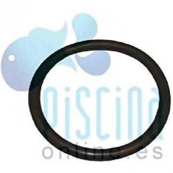 AstralPool O-Ring für Unterwasser-Scheinwerfer