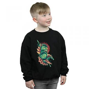 DC Comics Aquaman Sweatshirt for Boys
