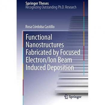 Functional Nanostructures Fabricated by Focused Electron/Ion Beam Induced Deposition (Springer Theses)