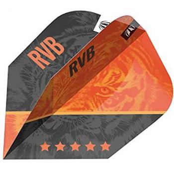 Darts Raymond Van Barneveld Gen4 Ten-X Pro